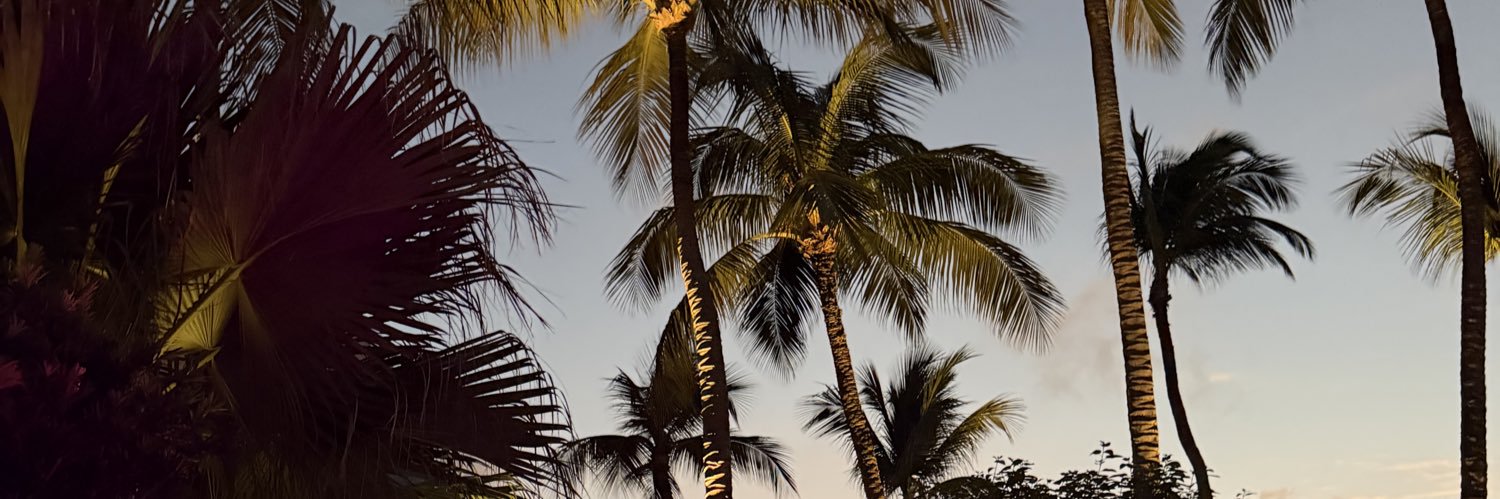 _meenaaaa's profile banner image