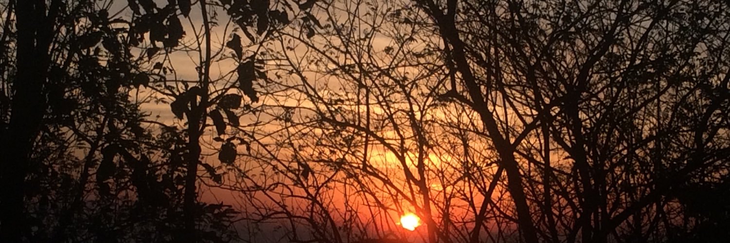 bonga_pandit's profile banner image