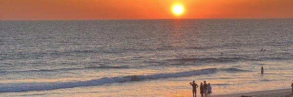 zephanoplis Profile Banner