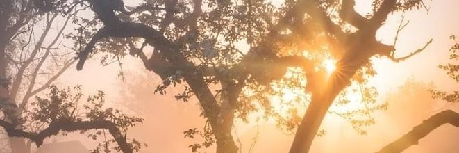 MuninIsHugin's profile banner image