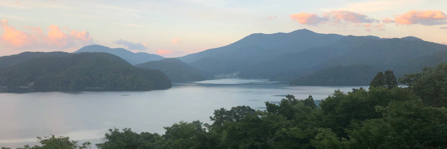 Jeff Wentworth banner