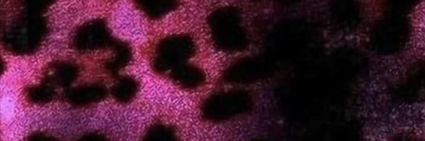 Boxing10116 Profile Banner