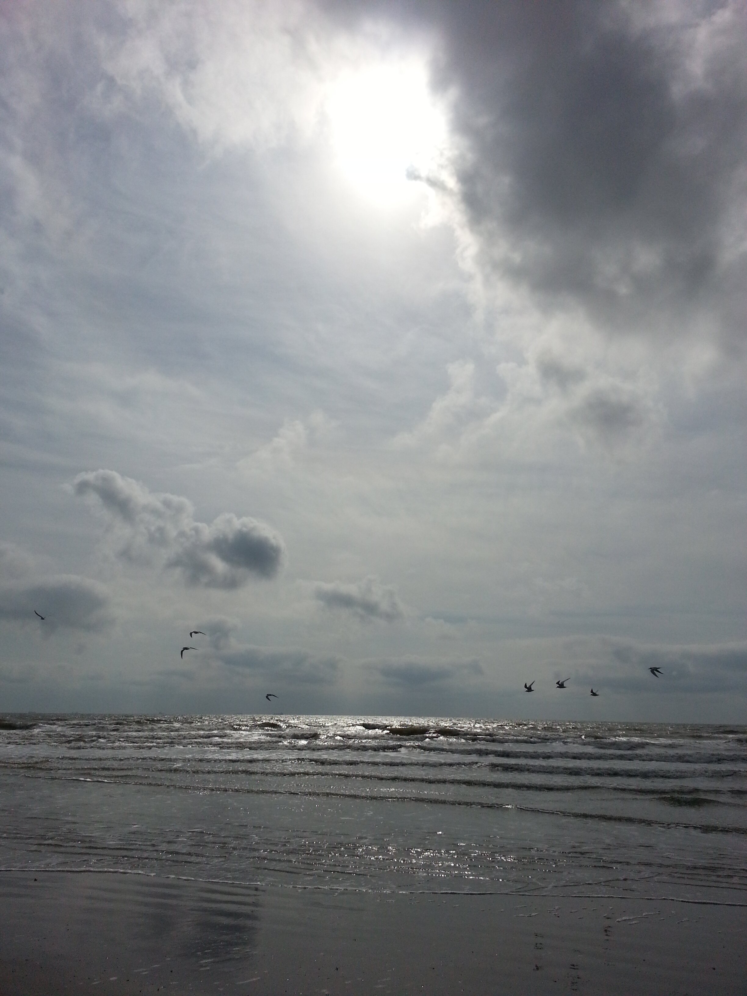MartinKelmar78's profile banner image