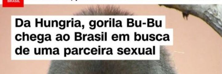 BUBU! banner