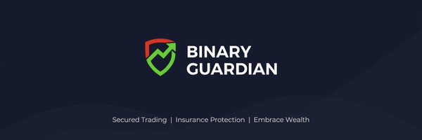 Binary Guardian Profile Banner