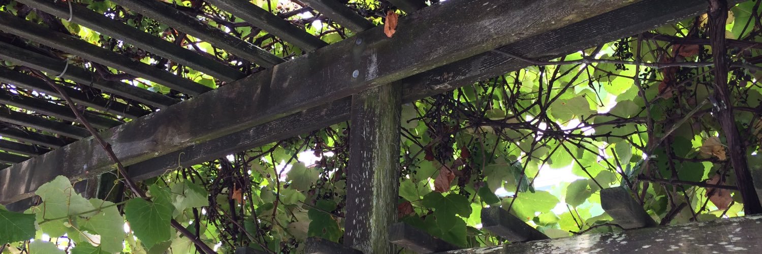 DebDonohue's profile banner image