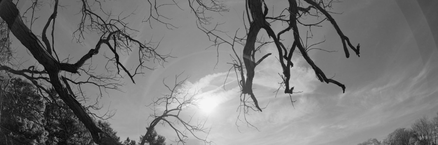 Ximu_reincarnated🌈 banner