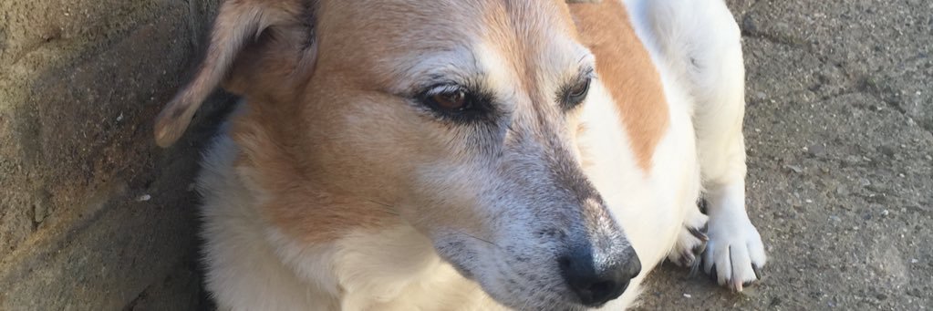 RiaJW_'s profile banner image