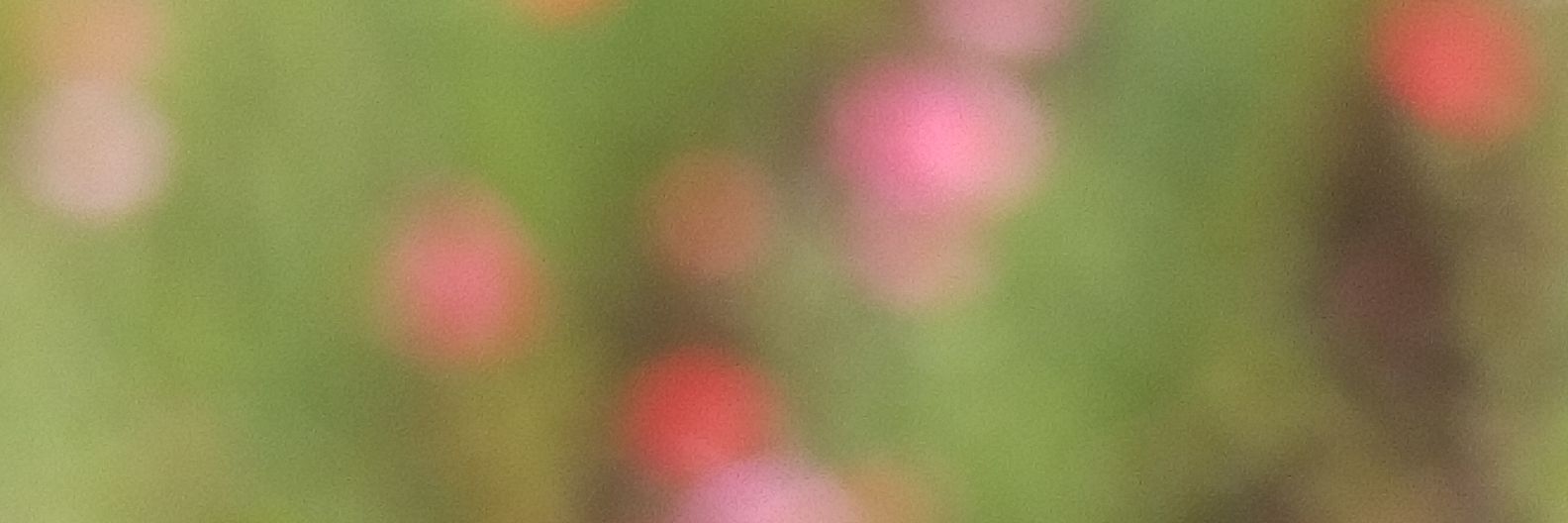 vantvan's profile banner image