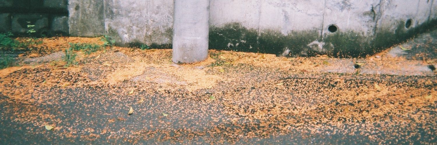 __5n__'s profile banner image