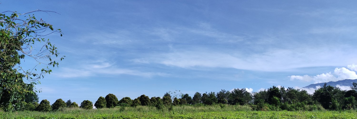DestiRahayu8's profile banner image