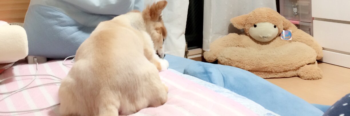 airi15369's profile banner image
