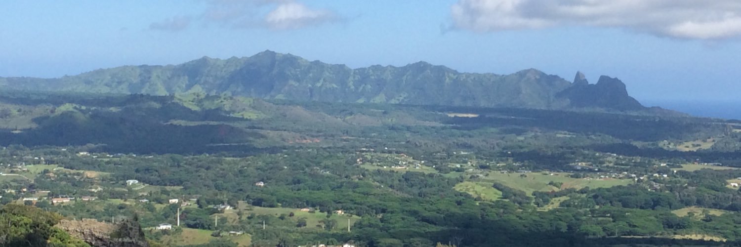 Brandon Priddy banner