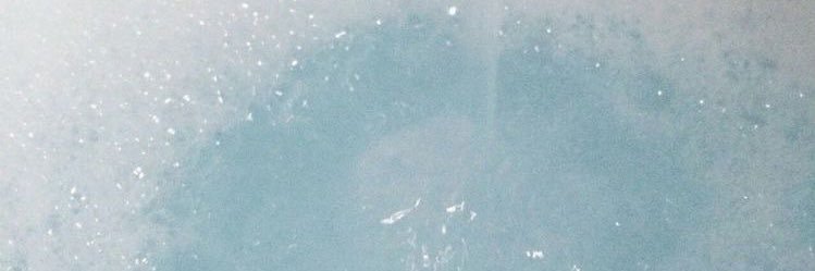 nuggetwfries's profile banner image