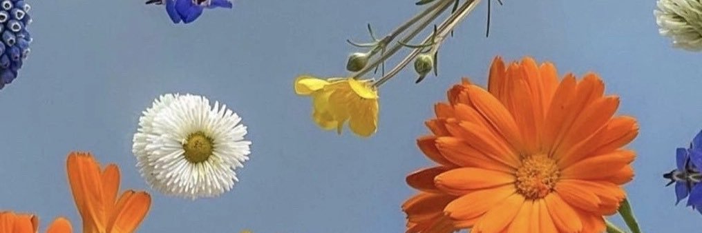 wtftacy_'s profile banner image