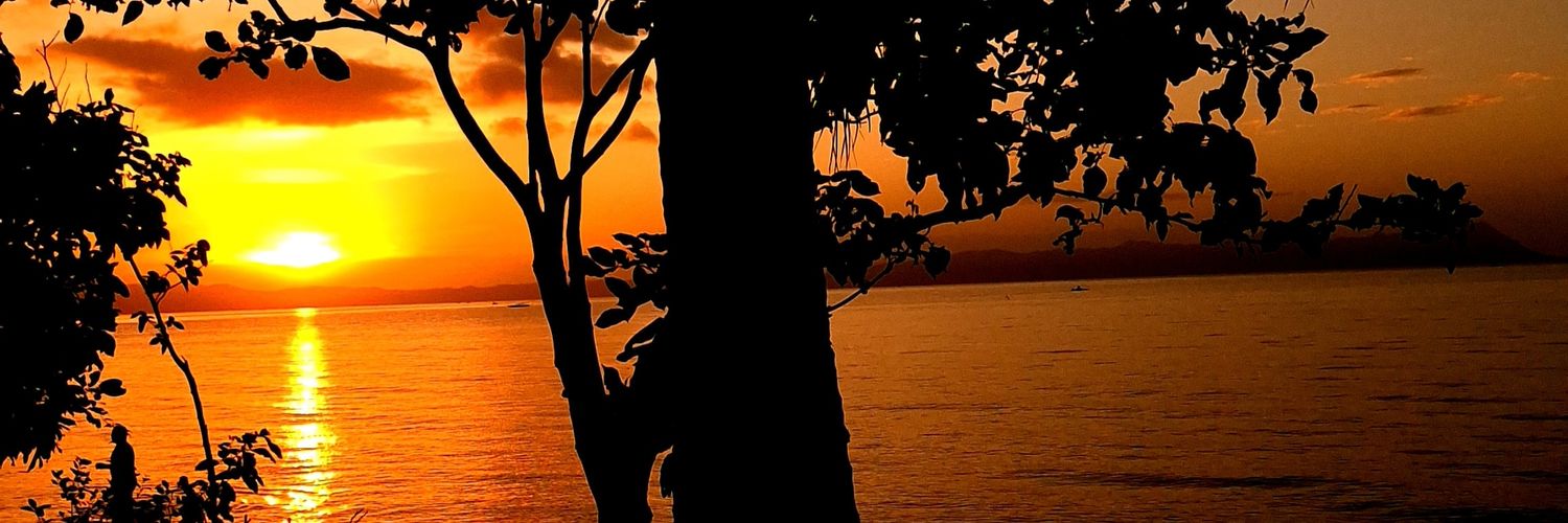 AzoresDominic's profile banner image