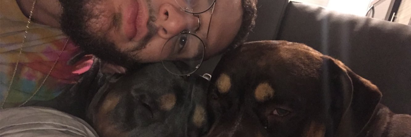 tringalinick's profile banner image