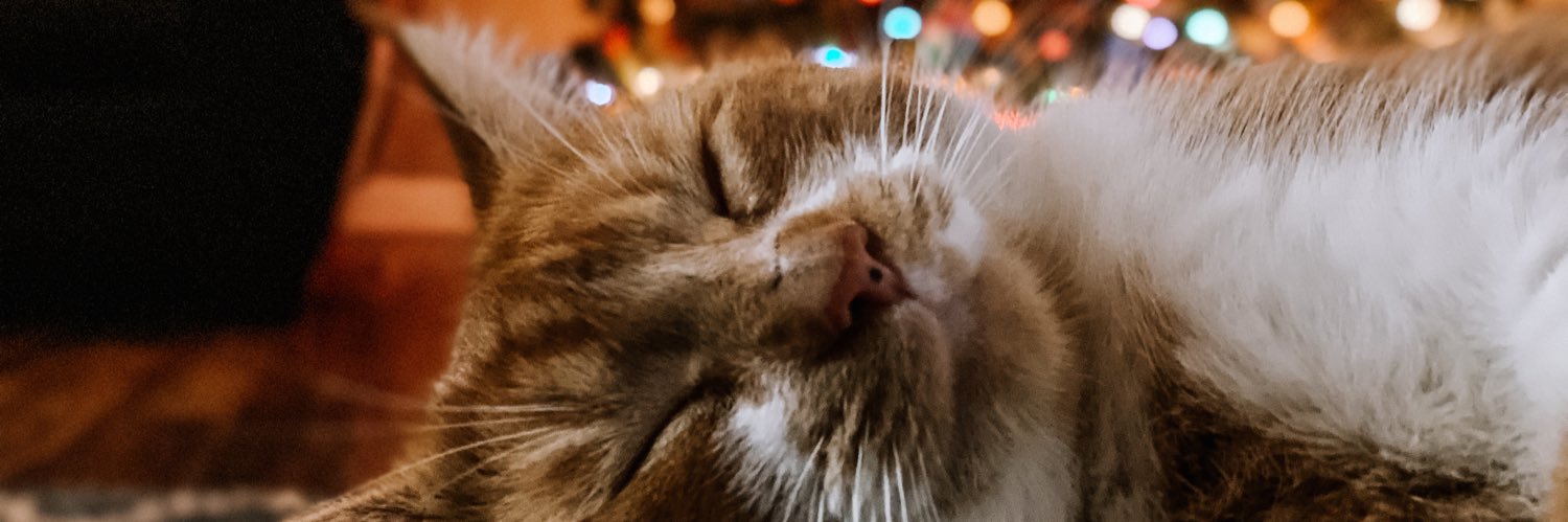 LalaRoxAlot's profile banner image