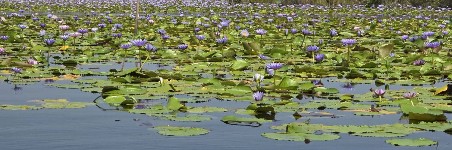 ploy ซอยจุ๊ banner