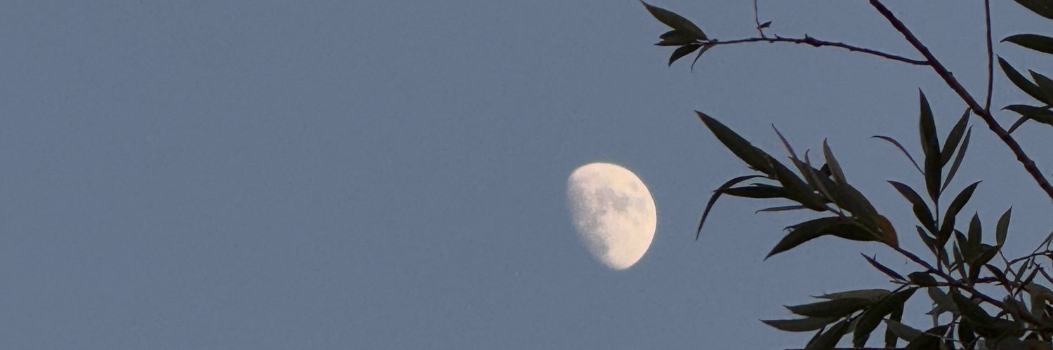 Moonta's banner