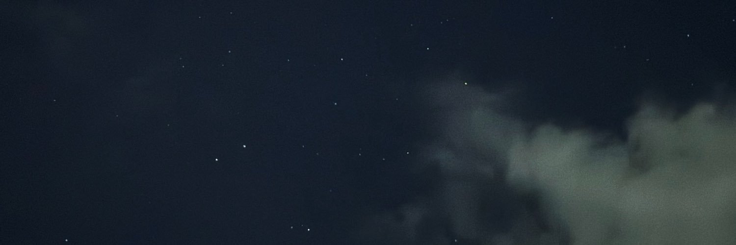 elaveranoir's profile banner image