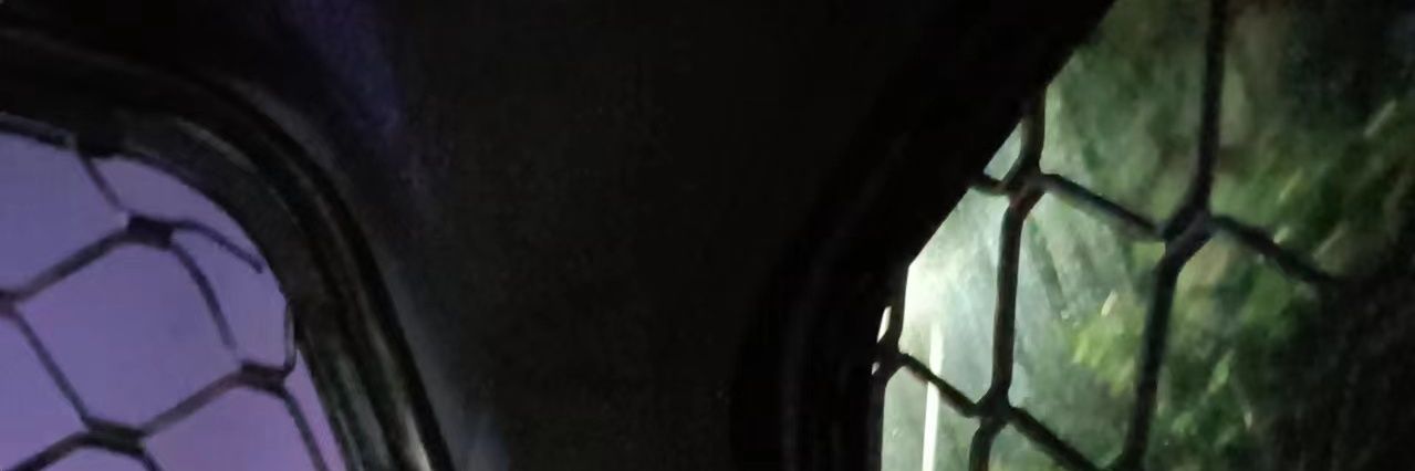 Nyree banner