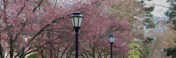 YubinJang_ Profile Banner
