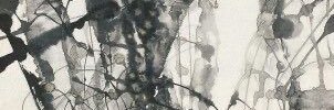 diegogglezz's profile banner image
