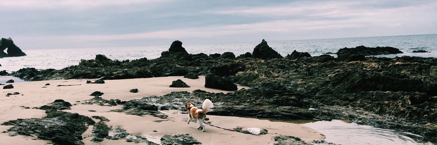 hannahvleigh's profile banner image