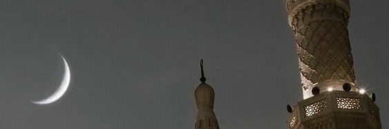 Dalmasso 🇩🇿 banner