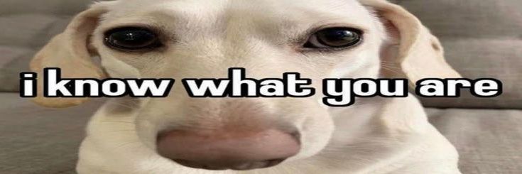 moldyphase's profile banner image