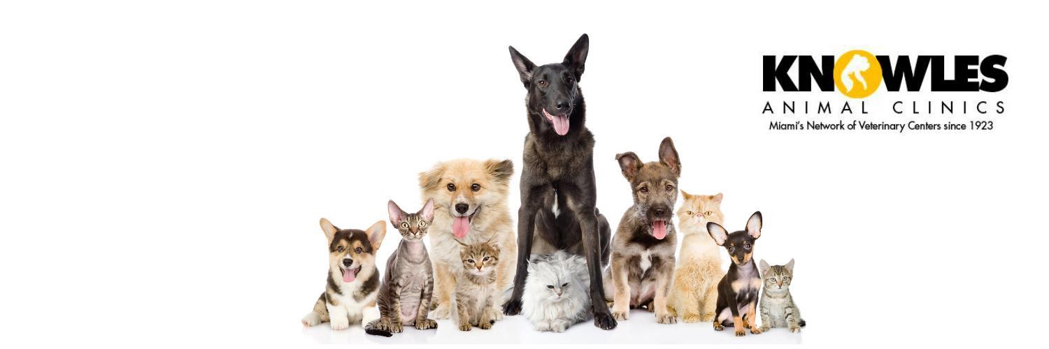 knowlesanimal's profile banner image