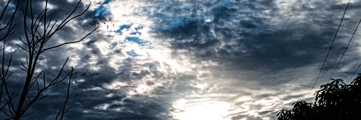 ED_BZ_2022's profile banner image