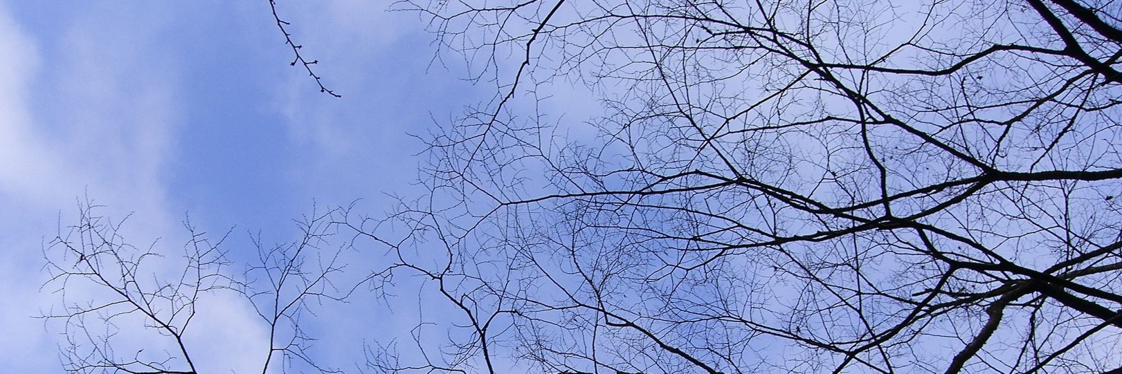IyNj5's profile banner image