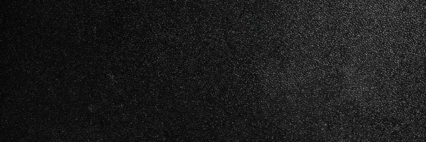 SandraGorld banner