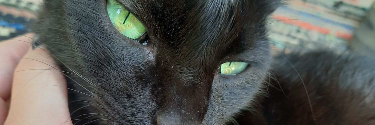 OZaoury's profile banner image