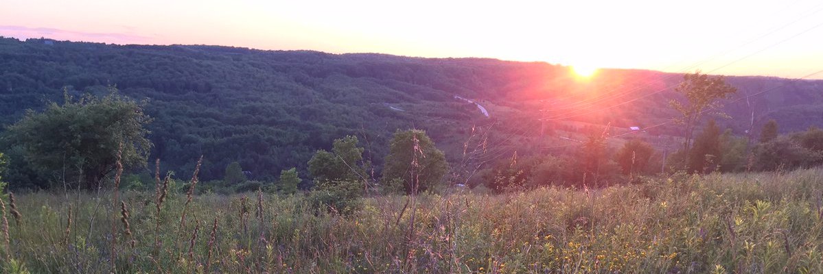 Lauren Flanagan banner