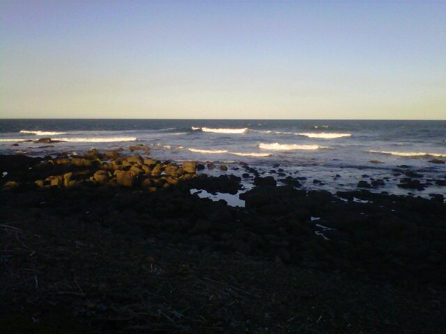 Chloe Trebble banner