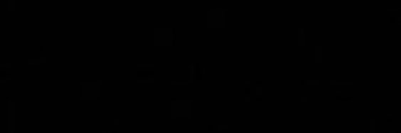 chan's banner