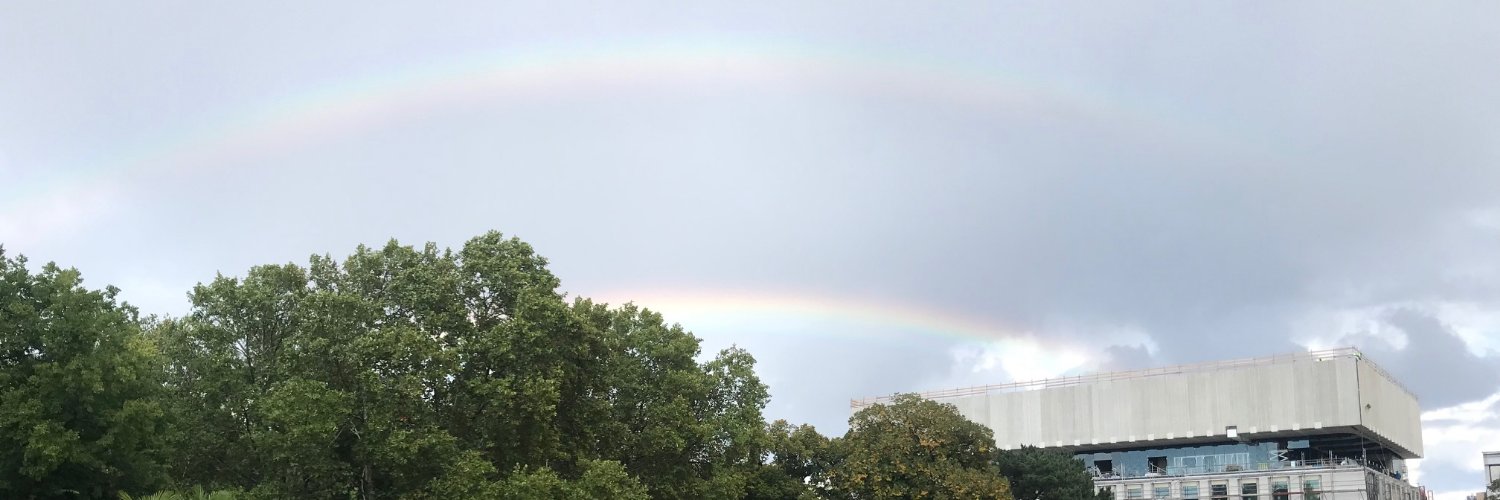 Marc Kaufmann banner