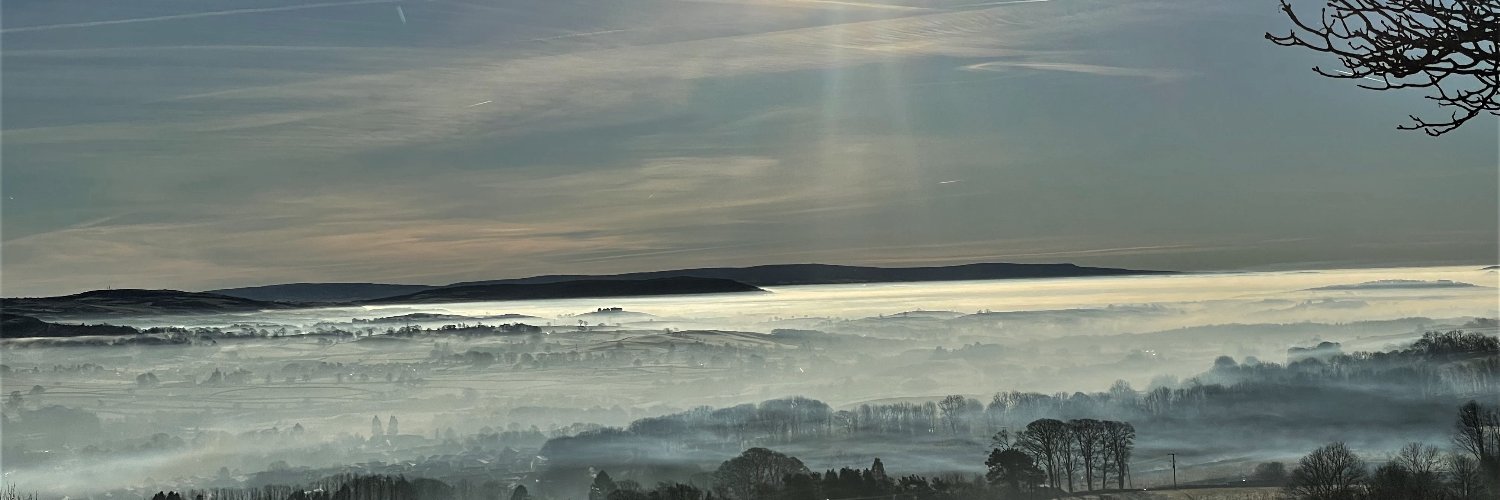 Barbara Thomas banner