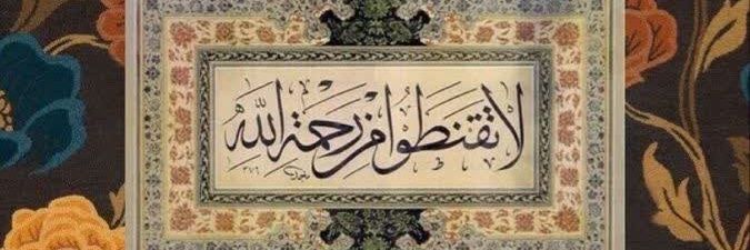 آیناز's banner