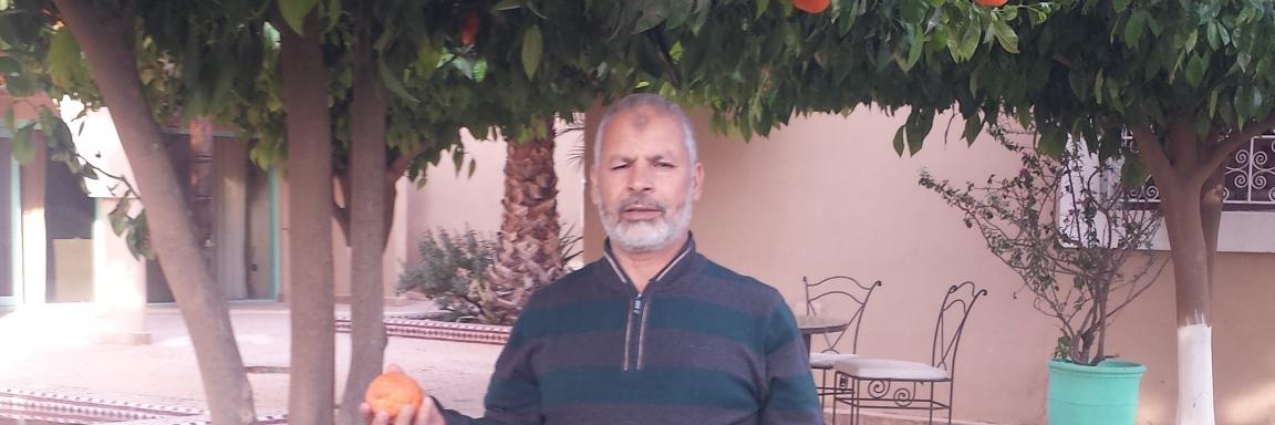 hallouja's profile banner image