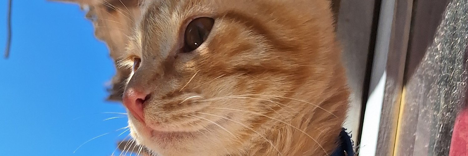 luu___peralta's profile banner image