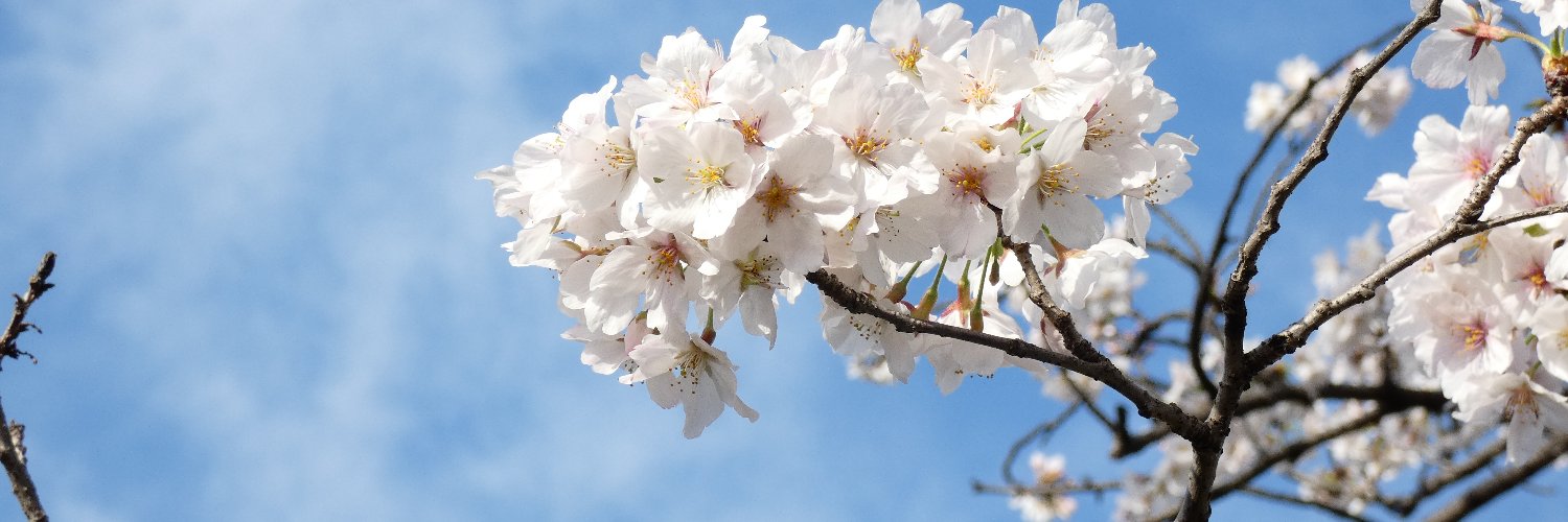 まきっくす banner