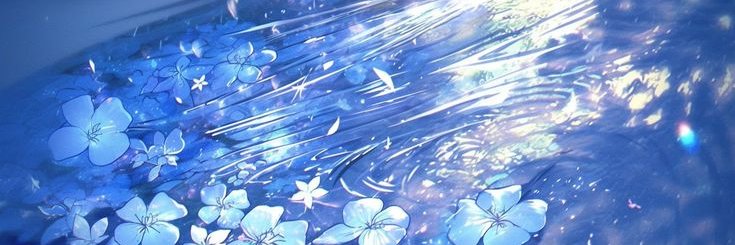 🪼 banner