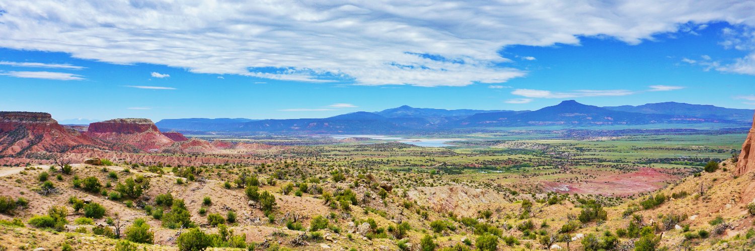 Olga Morales-Pate banner