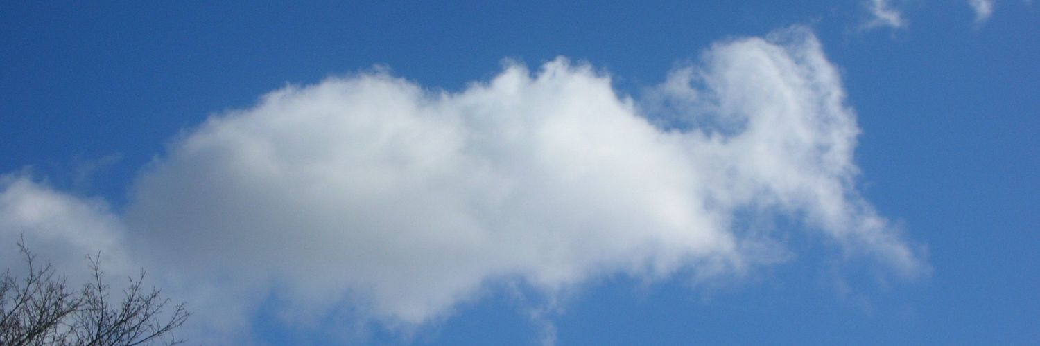 Bee_Reay's profile banner image