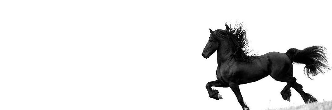 Ftxem's profile banner image