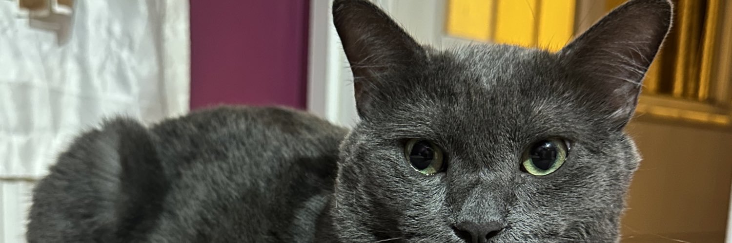 Thee_nursee's profile banner image
